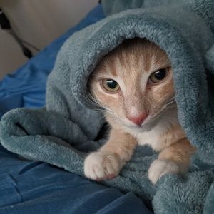 Meet your Posher, Derek